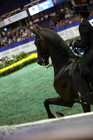 85.  Amateur Three-Gaited Over-Two
