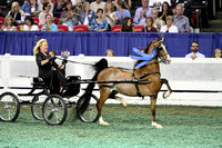 121.  Amateur Ladies Harness Pony