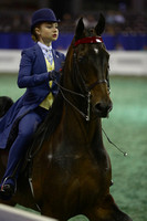 135.  Equitation-WT-9 Year Olds