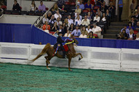 165.  KY State Fair Equitation Championship