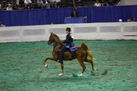 168.  Three-Year-Old Five-Gaited Mares