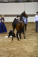 115.  ASB 2Yr Old 3Gt Park Sweepstakes