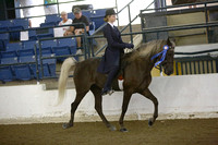 78.  12-17 Youth Equitation