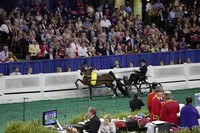 236.  Harness Pony World's Grand Championship