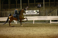 26. Open Five Gaited Stake