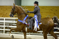 12.  ASB Five-Gaited Country Pleasure