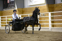 19.  AHHS Youth Pleasure Pony Driving Medallion