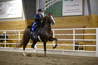 74.  ASB Open Five-Gaited