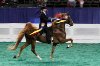 015.  KY County Fair Five-Gaited Championship