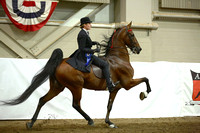 35.  ASB Open Five-Gaited