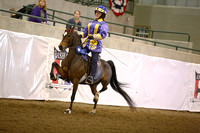 52.  AHHS Medallion Road Pony Under Saddle
