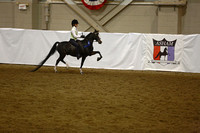 69.  AHHS Medallion Pleausre Pony Under Saddle
