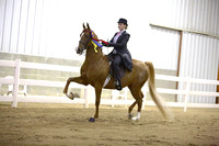 55.  Equitation Championship-All Ages