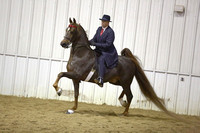 65.  ASB Open Five-Gaited
