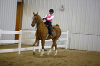 94. Maiden WT equitation  All Ages