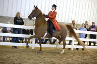 83.  ASB Country-Show Limit Championship