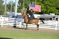0-Flag Horse