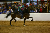 06.  Road Horse Under Saddle