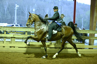 68-ASB Open Five Gaited