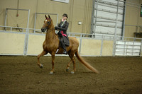 18-Saddle Seat Equitation 14-17