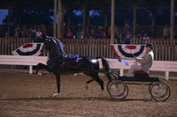 56. Dutch Harness Horse Jr Limit