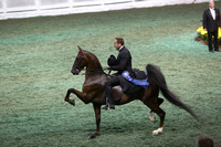 22-World's Championship Horse Show