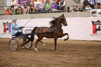 133.  Road Pony Championship