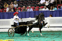 179-Juvenile Hackney Pony Pleasure Driving Championship