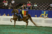 120.  Adult 3Gt Country Pleasure Div 2