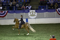 170.  Amateur Five-Gaited National Stake