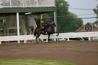 40. Amateur Five Gaited Stake