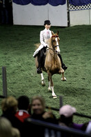 136.  Five-Gaited Pony Stake