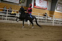 71.  AHHS Youth Medallion Rd Pony Under Saddle