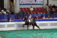 178-Equitation-WT 8 & Under Championship