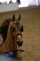 093.  Amateur Road Horse