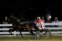 09-Amateur Road Horse-Equine Cup