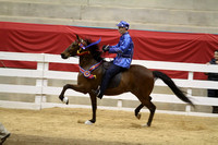 94-Road Horse Under Saddle Championship