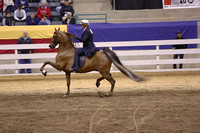 17.  ASB Five-Gaited Open
