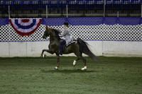 103. Five-Gaited Pony Stake