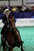 030.  Five-Gaited Pony - 13 and Under
