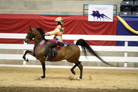 156-Road Pony Under Saddle Championship