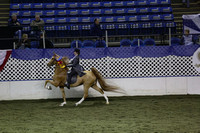 148.  Five-Gaited Pony Stake