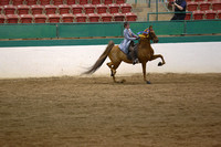 091.  ASB 3Gt Pony Championship
