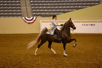 64.  Five-Gaited Pony Stake