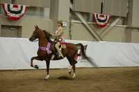 122.  Saddle Seat Equitation Championship