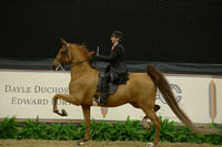 409-Five Gaited Amateur Stake