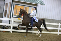 30.  ASB Limit Rider Show-Country Pleasure