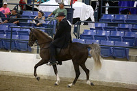 72.  Mares-Geldings Country Trail Pleasure Championship
