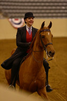 68A.  Five-Gaited  Country Pleasure Championship