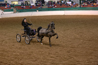167.  Harness Pony Championship